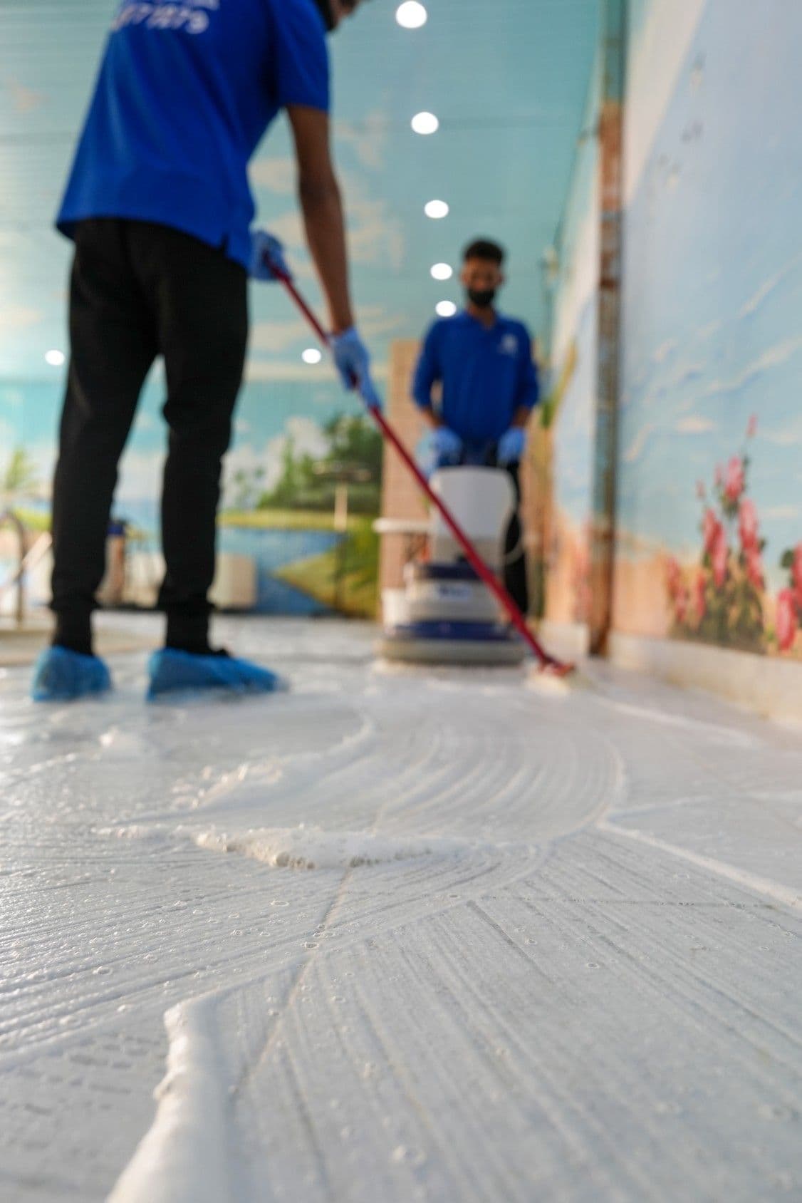 Professional Cleaning